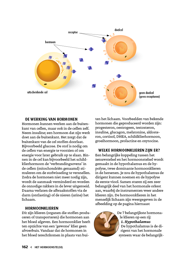 Gezond van kop tot teen