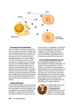 Gezond van kop tot teen